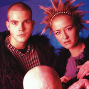 Daze - List pictures