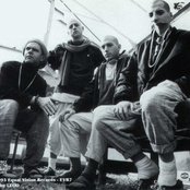 Shelter - List pictures