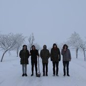 Throats - List pictures