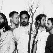 Young The Giant - List pictures