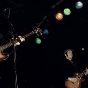 The Black Hollies - List pictures