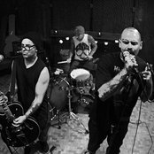 Transplants - List pictures