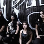 Harlequin - List pictures