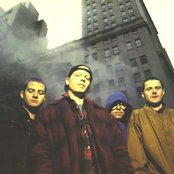 Offspring - List pictures