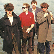 Echo & The Bunnymen - List pictures