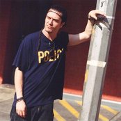 Lovage - List pictures