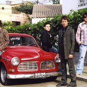 Libido - List pictures