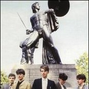 Orange Juice - List pictures