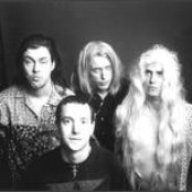 Butthole Surfers - List pictures