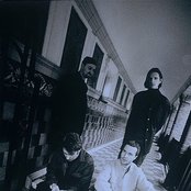 Porcupine Tree - List pictures