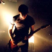 Year Of The Rabbit - List pictures