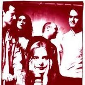 Scheer - List pictures