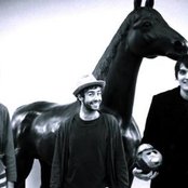 Miniature Tigers - List pictures