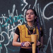 Lila Downs - List pictures