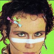 Adam Ant - List pictures