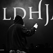 Vildhjarta - List pictures