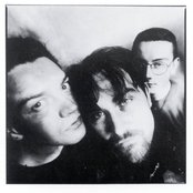 Therapy - List pictures