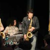 Polar Bear - List pictures