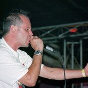 Tree - List pictures