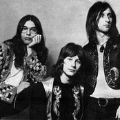 Latte E Miele - List pictures