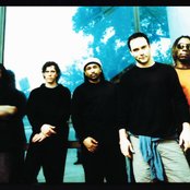 Dave Matthews Band - List pictures