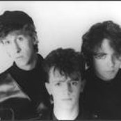 Icicle Works - List pictures