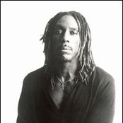Boyd Tinsley - List pictures
