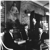 The Stained Glass - List pictures