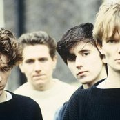 House Of Love - List pictures