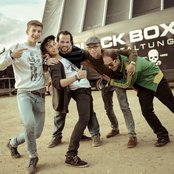 Seed To Tree - List pictures