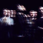 Good Tiger - List pictures