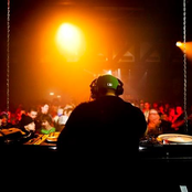 V.i.v.e.k. - List pictures