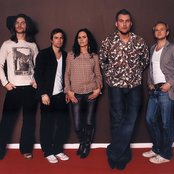 Cardigans - List pictures