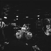 Sumac - List pictures