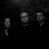 The Amber Herd - List pictures