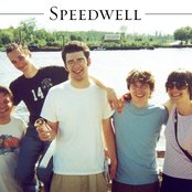 Speedwell - List pictures