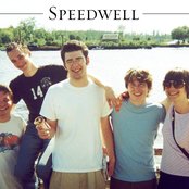 Speedwell - List pictures
