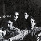 Grey Daze - List pictures