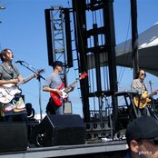 Loquat - List pictures