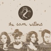 The Sam Willows - List pictures
