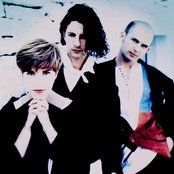 Presuntos Implicados - List pictures