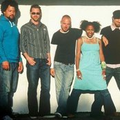 Orgone - List pictures