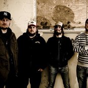 Dozer - List pictures