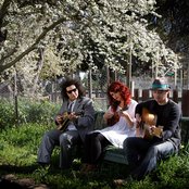 Tinpan Orange - List pictures