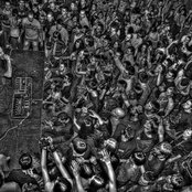 Dub Fx - List pictures