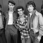 Scruffy The Cat - List pictures