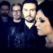 Cranberries - List pictures