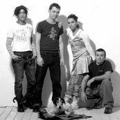 Orange Blossom - List pictures