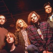 Gin Blossoms - List pictures