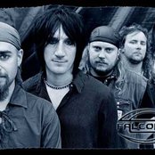 Falconer - List pictures